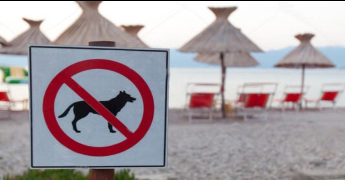 Ordinanza comune di Ponza vietato l'accesso ai cani sulle spiagge