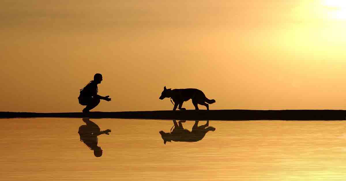 Uomo si getta nell'acqua bollente