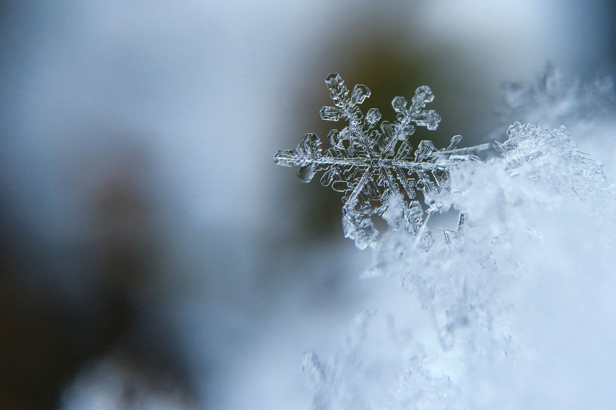 Fiocco di neve