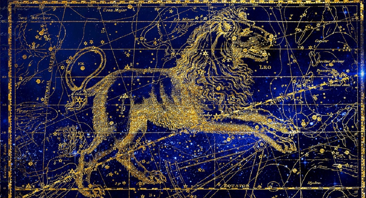 Leone e Leone, uguali ma non sempre affini: la compatibilità tra questi segni zodiacali