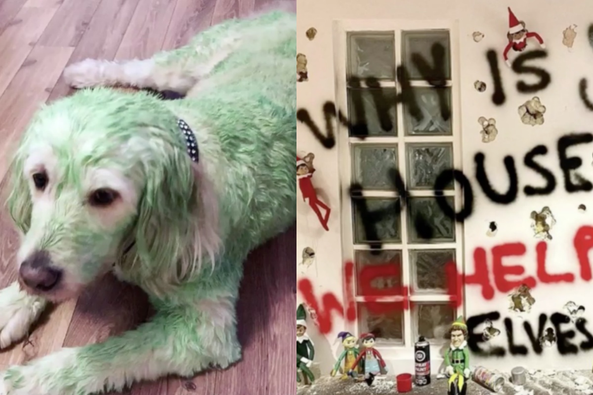 Donna dipinge il suo cane di verde