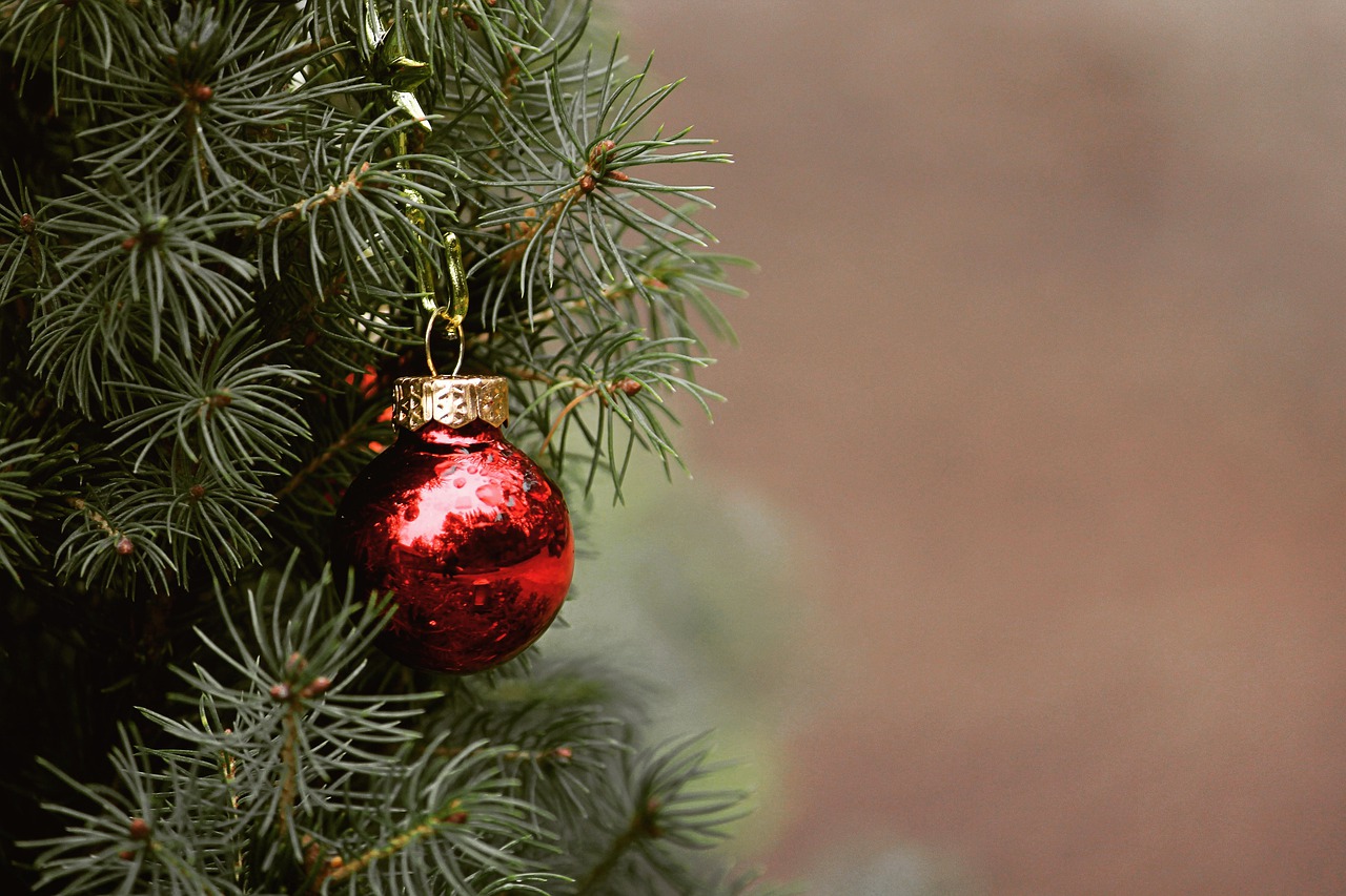 Albero di Natale, 6 modelli per arredare casa durante le feste di fine anno