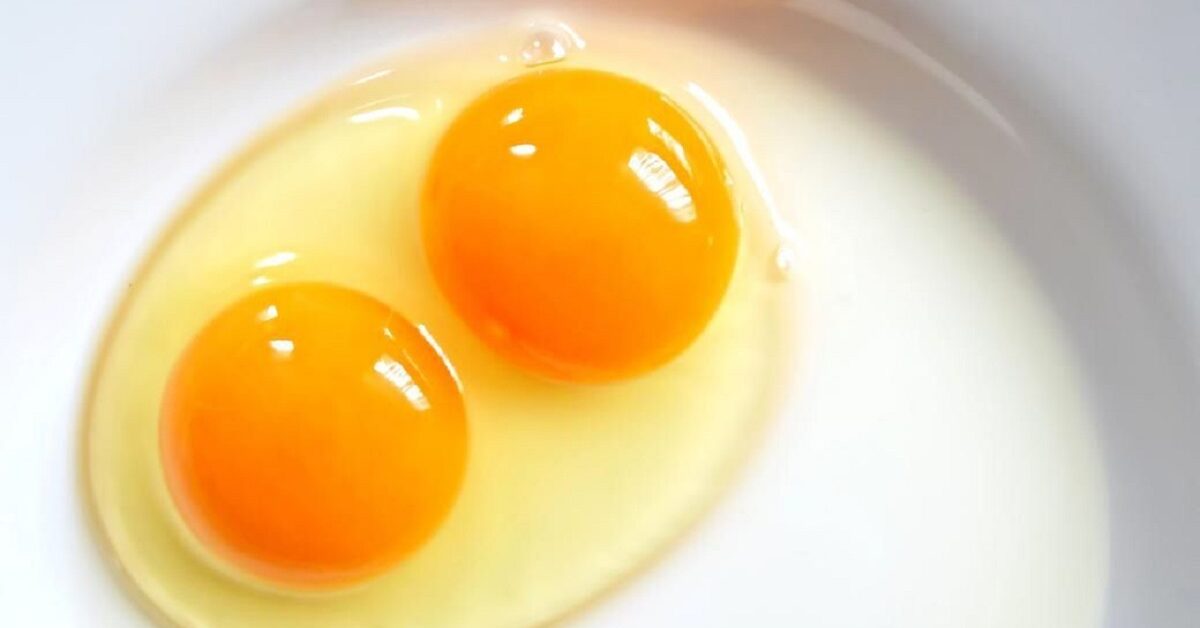 What does it mean if you find a double yolk in an egg? Let's find out ...