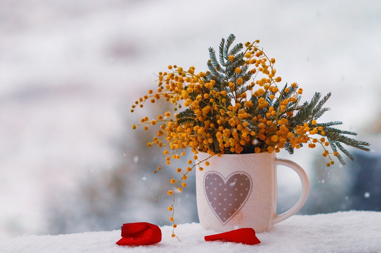 Per la Festa della donna le nostre idee regalo last minute da fare e da farsi