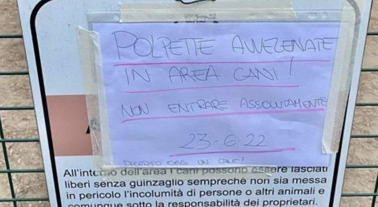 polpette avvelenate nell'area cani di Rho