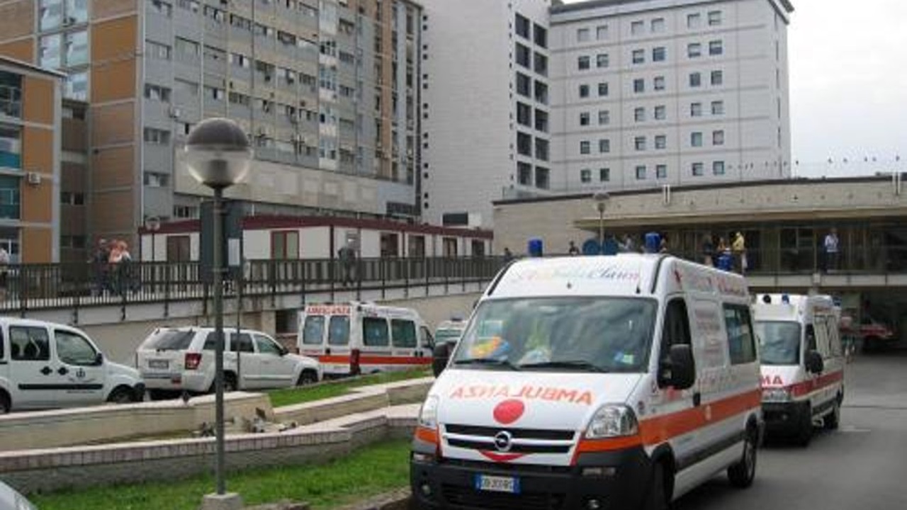 Padua hospital