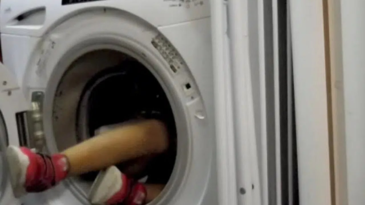 Artem ritrovato nella lavatrice