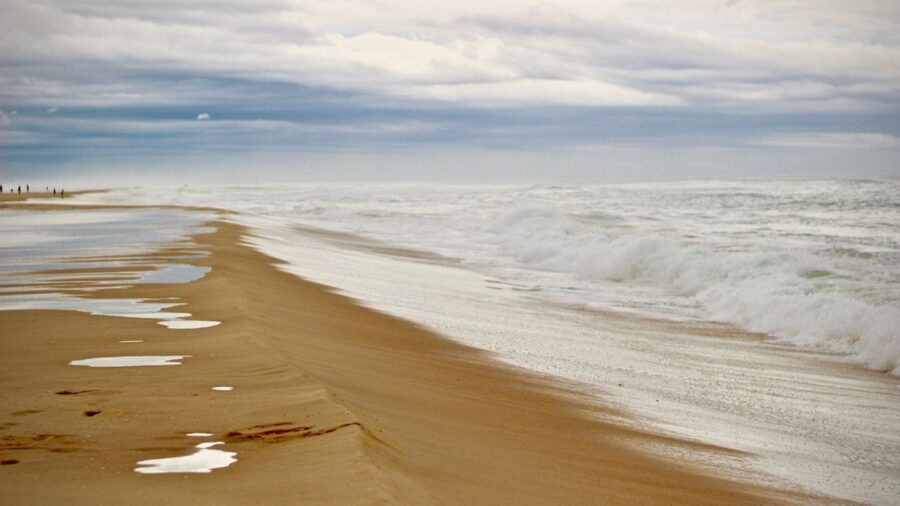 Mare; foto dall'archivio