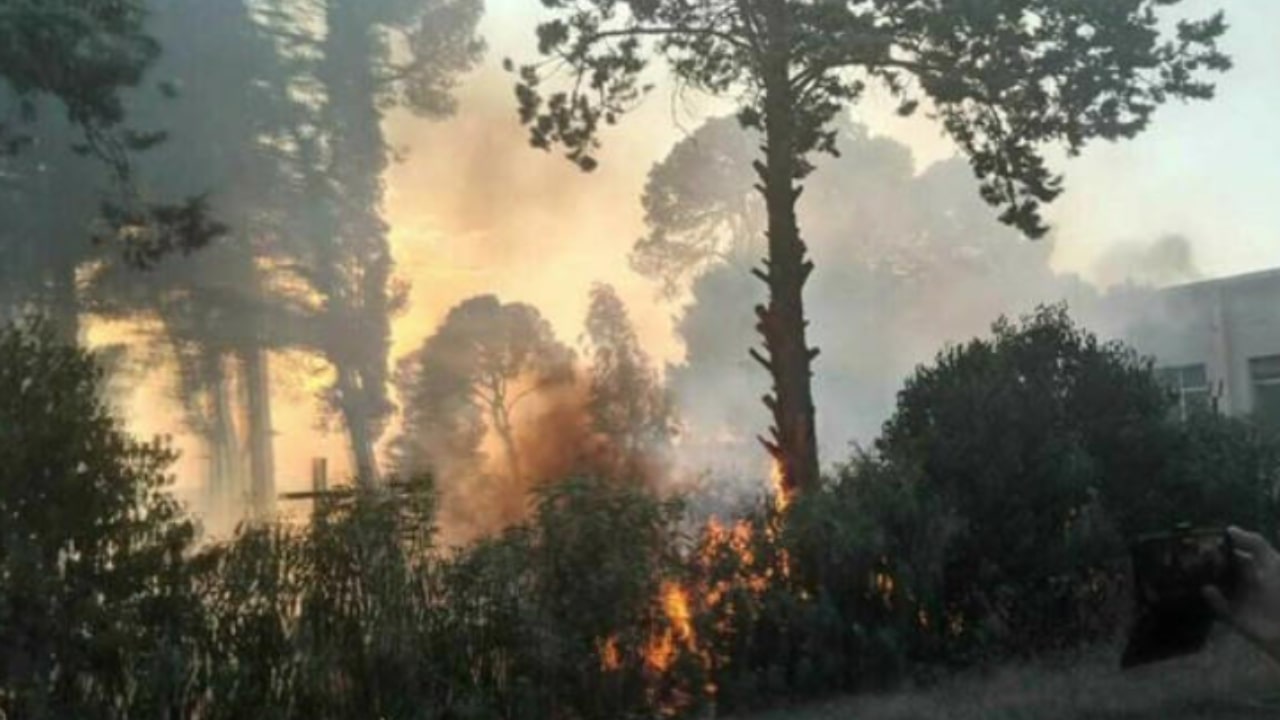 Incendio uccide Mario Rutiglio