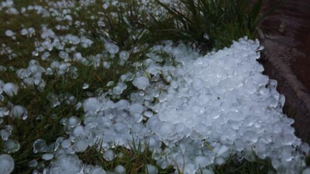 Weather alert for rain and thunderstorms