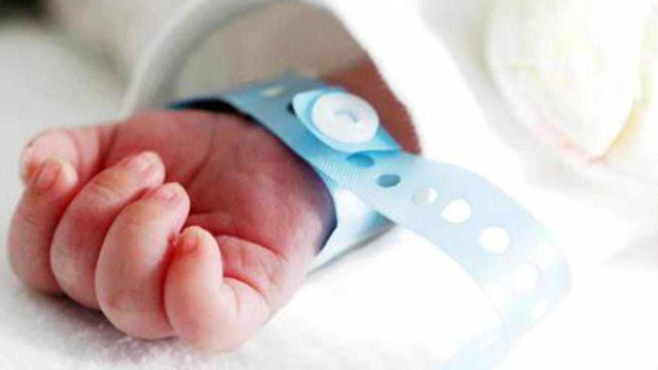 Newborn hospitalized in Parma