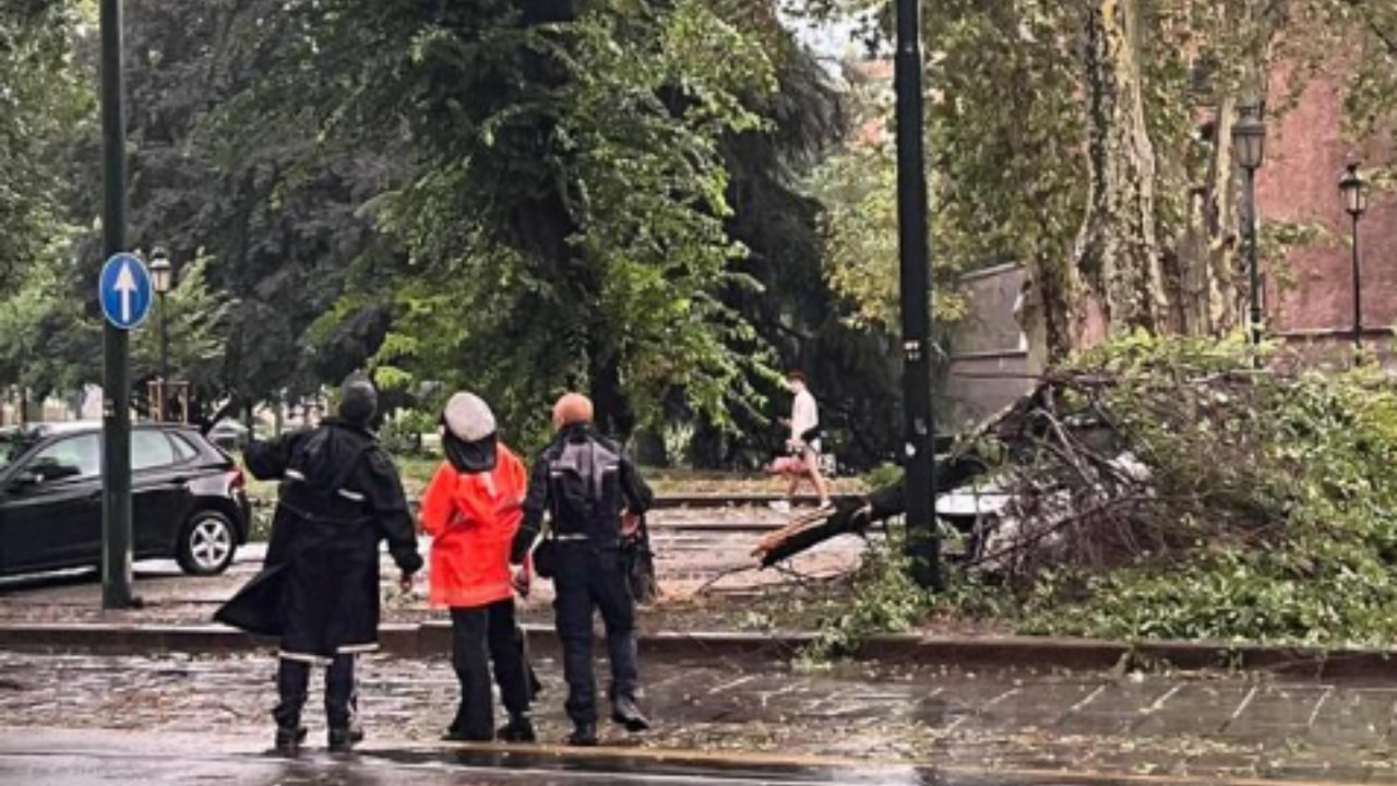 Alberi e macchine danneggiati dalla grandine a Torino