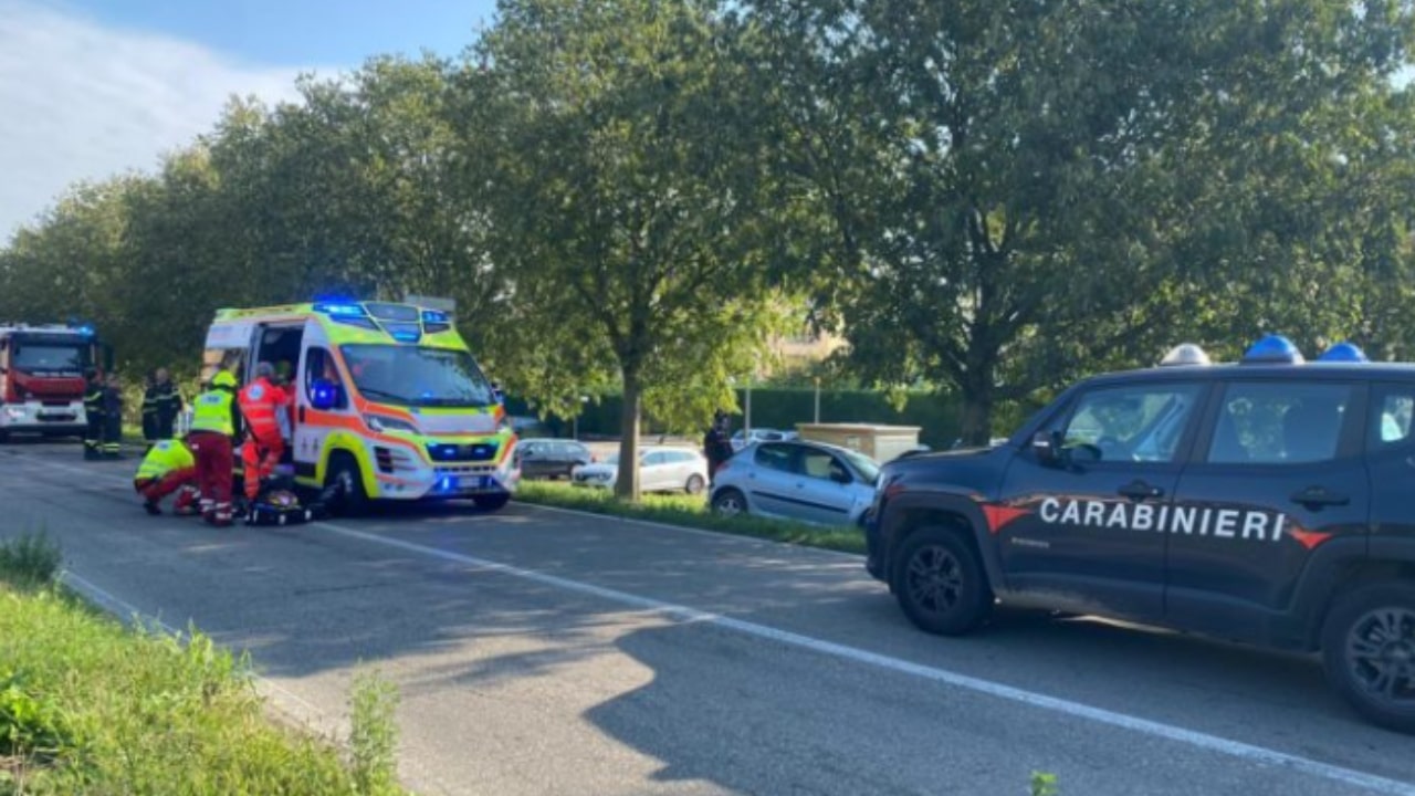 Man crashes into tree in Cadelbosco