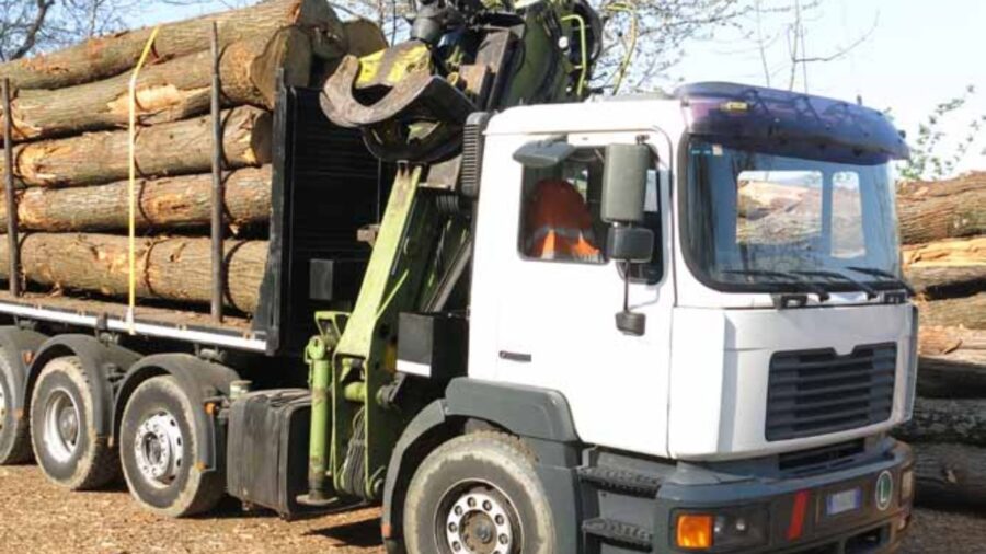 timber truck