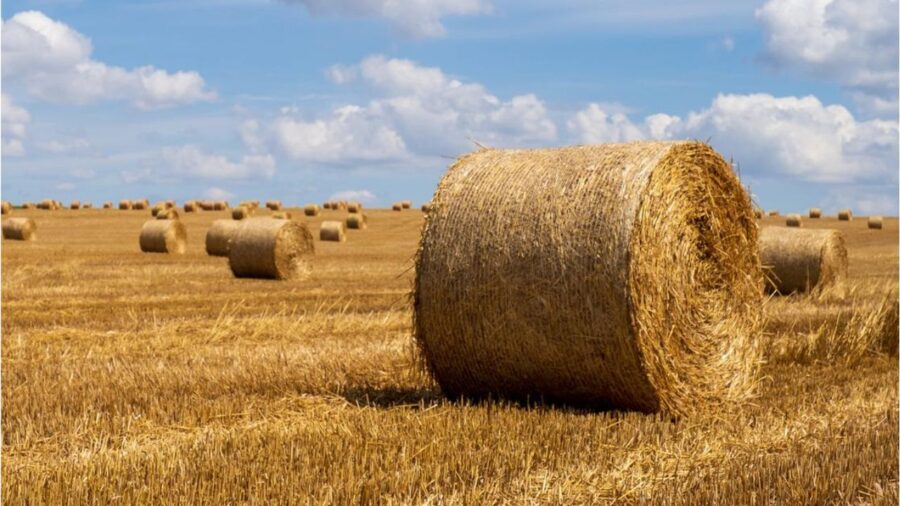 bale of hay