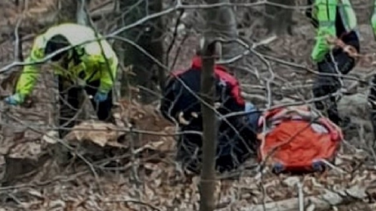 Tragic episode in the mountains: young lumberjack dies