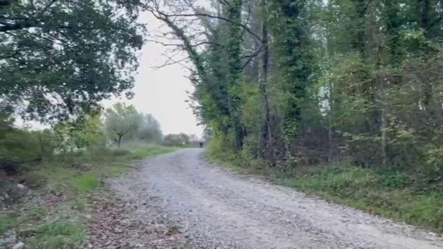 La strada adiacente al campo dove è stata ritrovata Letizia