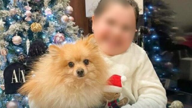 “Siamo ladri, ma onesti” rubano il cane ad una bimba disabile, dopo i disperati appelli la storia ha un finale inaspettato