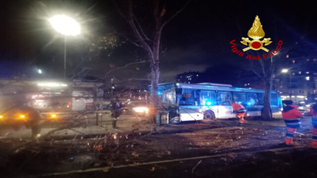 Drammatico incidente per un bus, si è schiantato contro un albero, ci sono feriti e disagi alla circolazione: dove e cosa è successo 